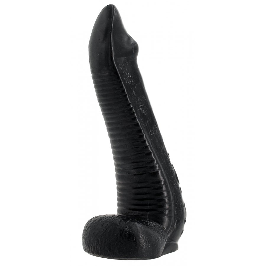 NAUTILA 21,5 x 6 cm