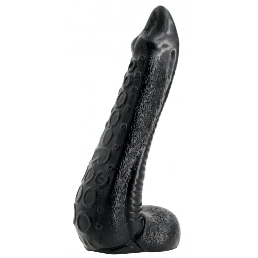 NAUTILA 21,5 x 6 cm